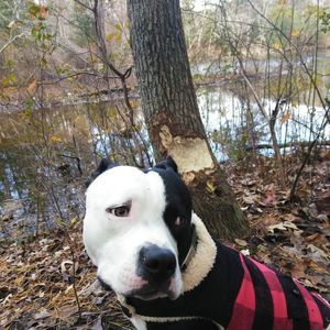 Meet your Posher, Minde